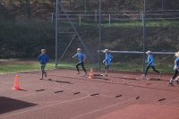 Trainingstage