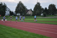 Furstenlander