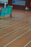 Halle SG