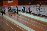Halle SG