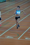 Halle SG