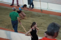 Halle SG