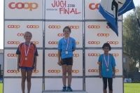 Jugifinal