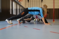 Trainingstage