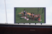 UBS Kids Cup