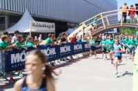 Auffahrtslauf