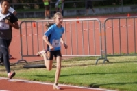 Mille Gruyere