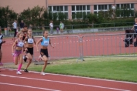 Mille Gruyere