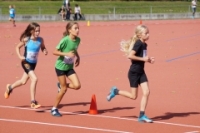 Mille Gruyere