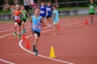 Mille Gruyere
