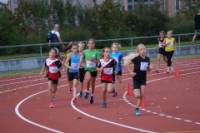 Mille Gruyere