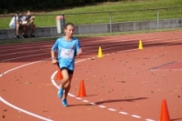 Mille Gruyere