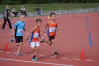 Mille Gruyere