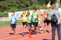 Mille Gruyere