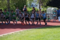 Ostschweiz Athletics