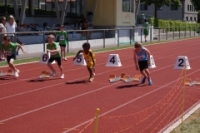 Ostschweiz Athletics