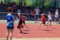Staffelmeisterschaften