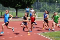 Staffelmeisterschaften