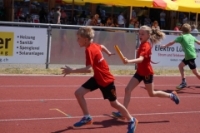 Staffelmeisterschaften