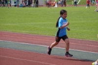 1000m AI