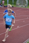 1000m AI