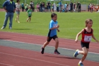 1000m AI