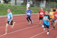 1000m AI