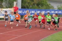 1000m AI