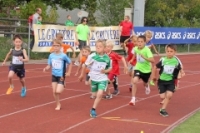 1000m AI