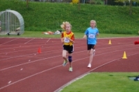 1000m AI