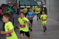 Auffahrtslauf