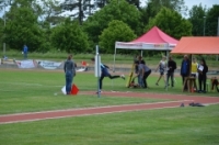 Auffahrtsmeeting