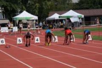 Sprint