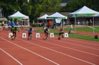 Sprint SG