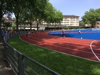 Staffel ZH