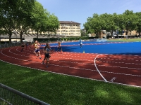 Staffel ZH