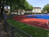 Staffel ZH
