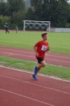 SVM MK