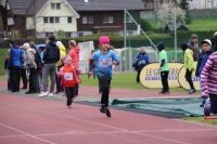 1000mAI
