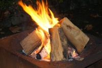 LAG-Abend