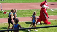 UBS Kids Cup Kantonalfinal