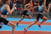 CHF-Sprint