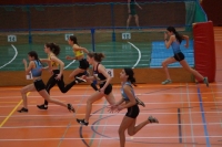 Halle Jugend SG