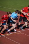 1000m AI