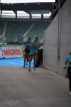 Auffahrtslauf