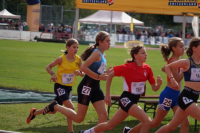 CHF 1000m