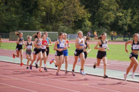 CHF 1000m