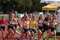 CHF 1000m