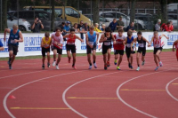 CHF 1000m