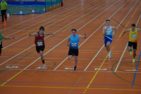Halle SG